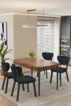 Mutfak Masası Takımı | 4 Kişilik Açılır Masa Sandalye Takımı | Salon Masası | Yemek Masası-Elma Takım
