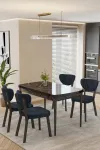 Mutfak Masası Takımı | 4 Kişilik Açılır Masa Sandalye Takımı | Salon Masası | Yemek Masası-Elma Takım